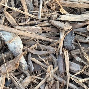 Meet your Posher, Nicholas